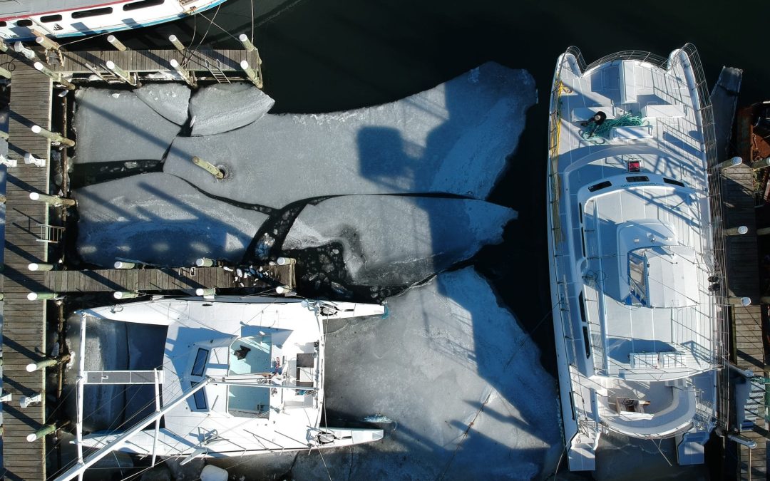 Ice in the harbor!