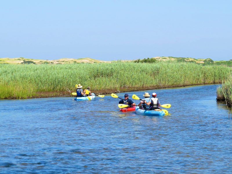 Top Family Activities on Cape Cod: 2021 Winners